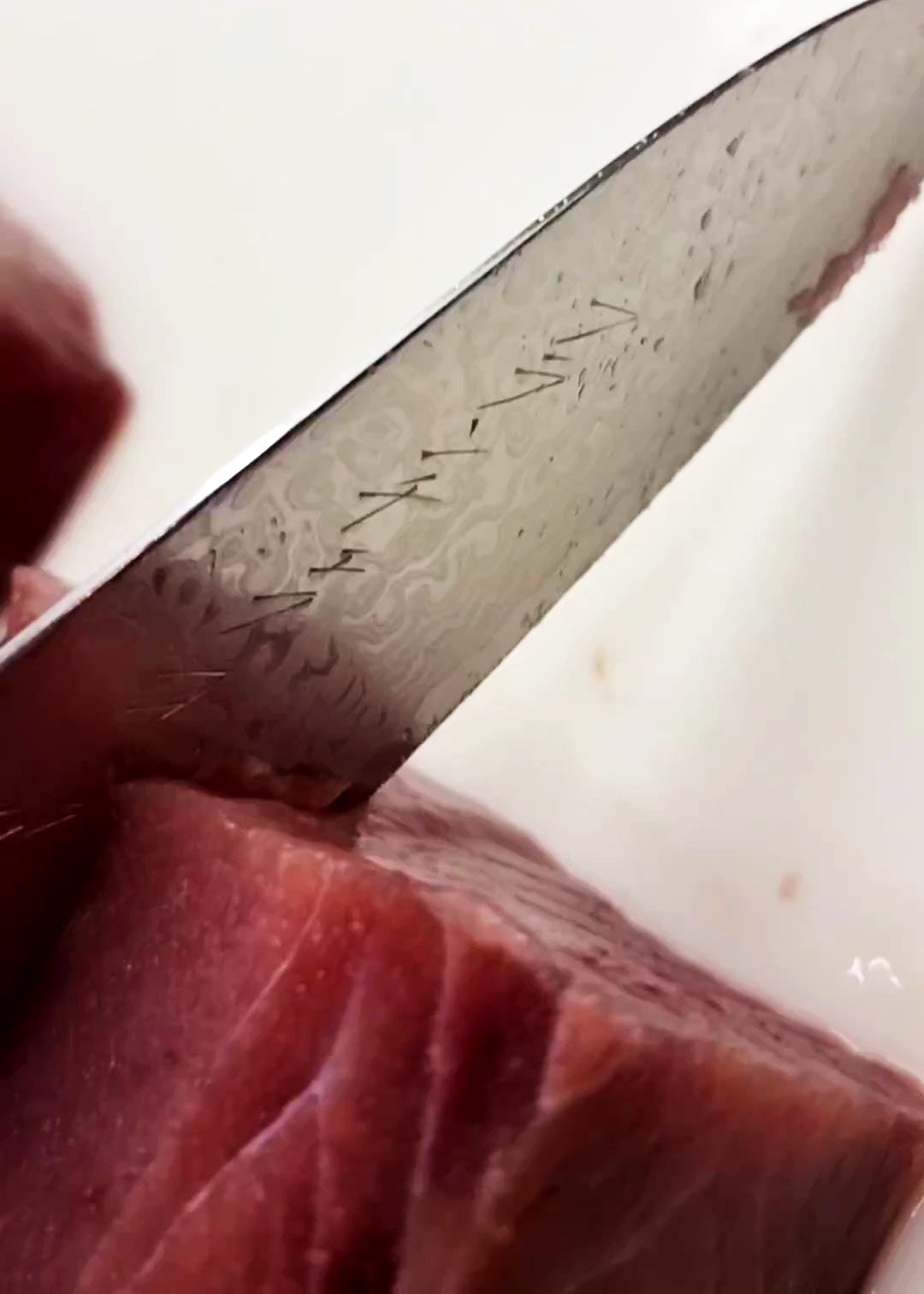 Chef Francesco Arena's Gyuto Knife from Syosaku-Japan