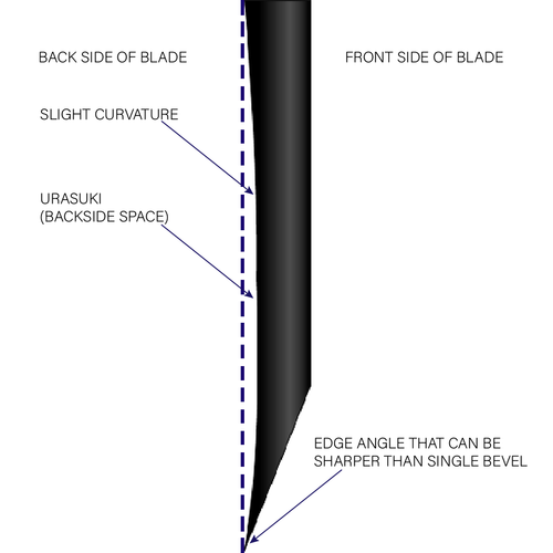 Profile of single bevel blade