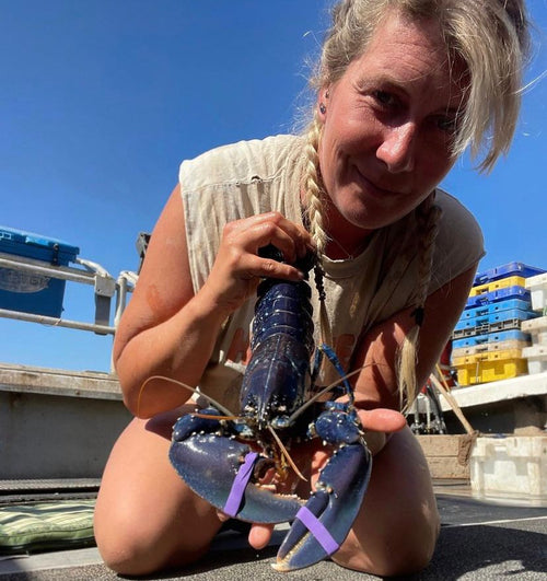 Ashley Mullenger catched a big lobster.