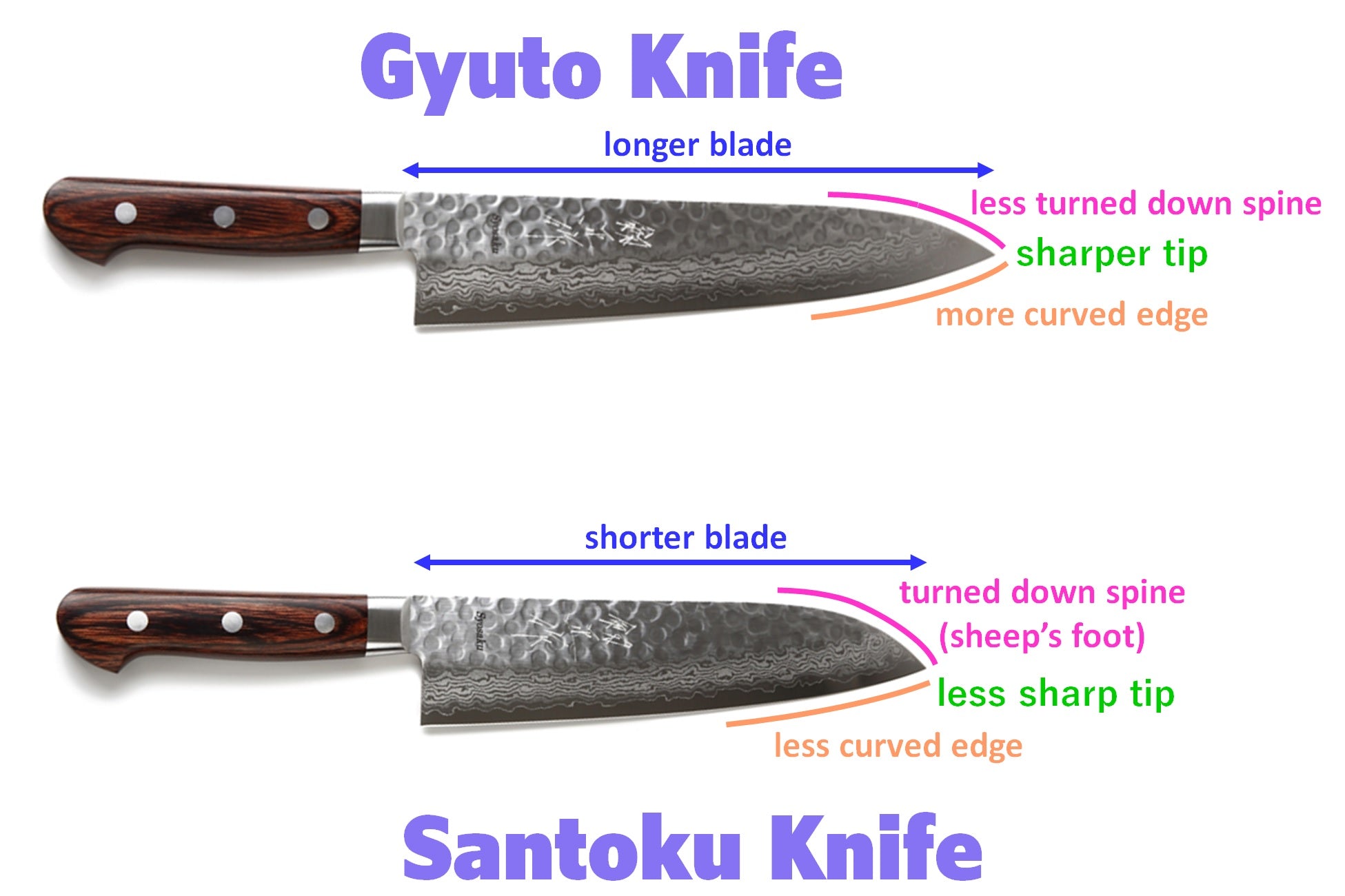 Which knife to choose between a Santoku and a Gyuto?