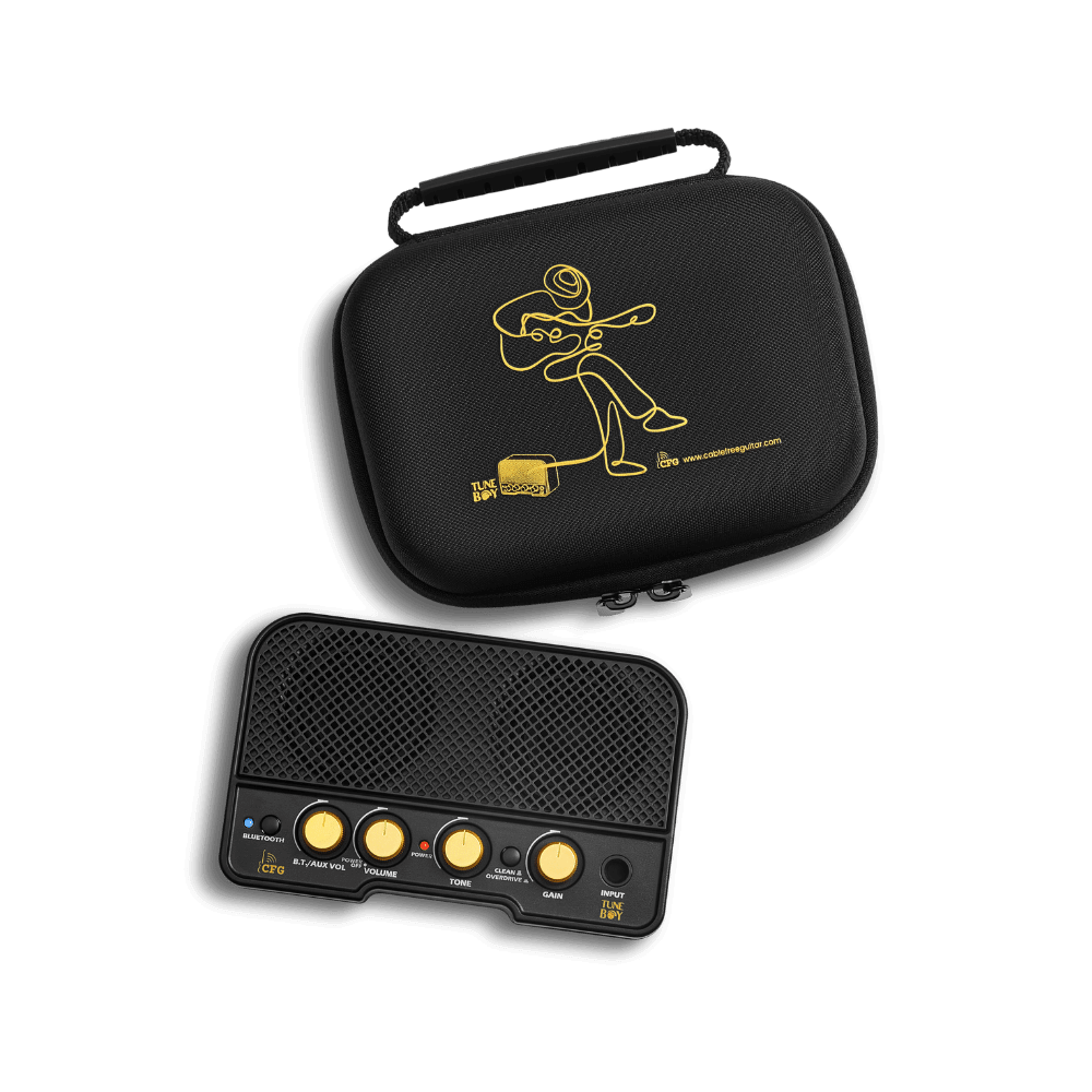 TuneBoy amp by CFG and its carry case