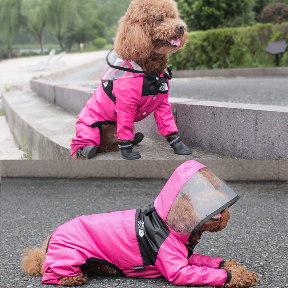 the dog face raincoat