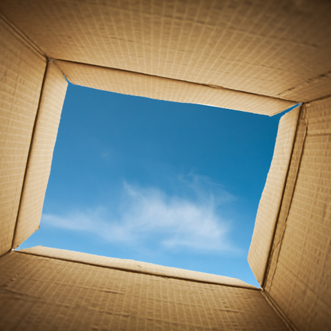 A view from inside a cardboard box to a Summer blue sky