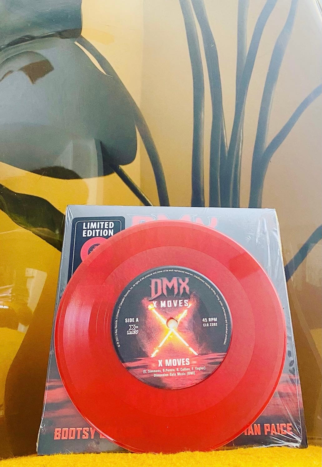DMX & Bootsy Collins: X Moves 45