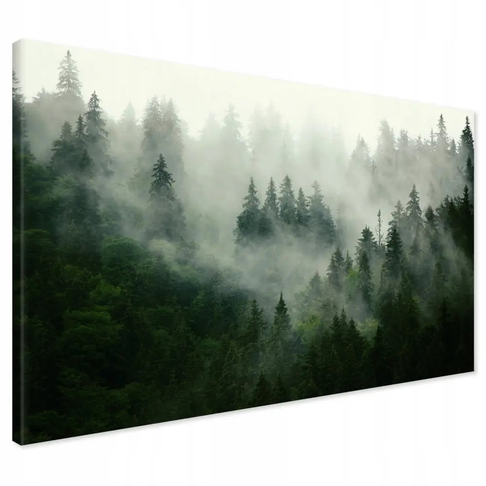 Tåkeskog Lerretsbilde | Naturbilder Til Soverom 120x80 cm