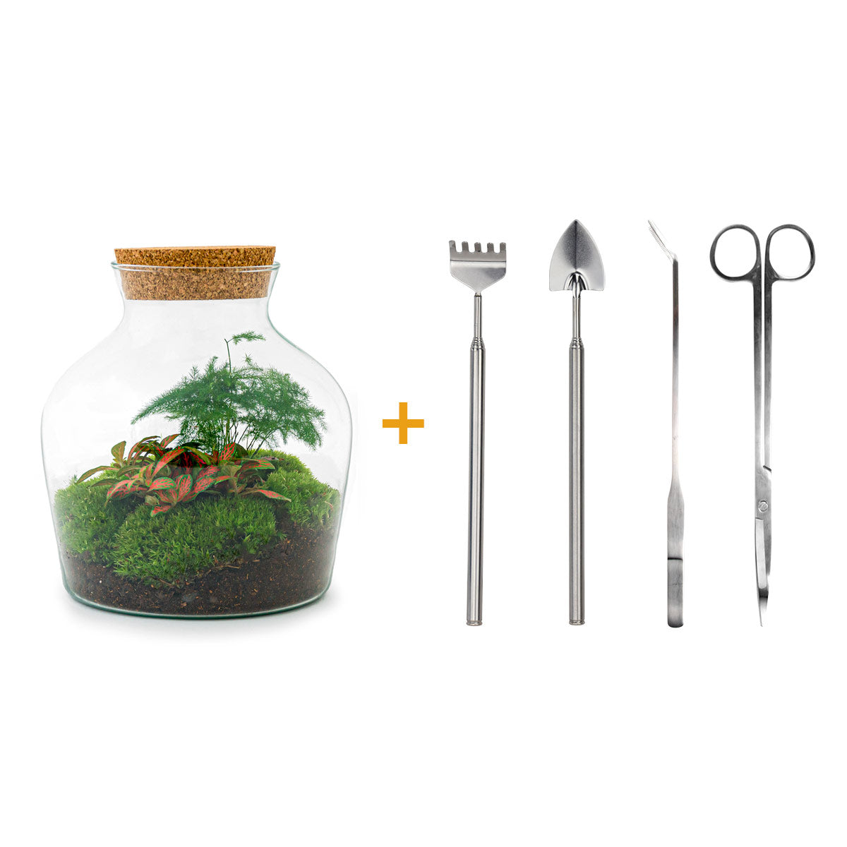Terrarium DIY Kit • Joe • Ecosystem with plants • ↑ 21.5 cm – urbanjngl