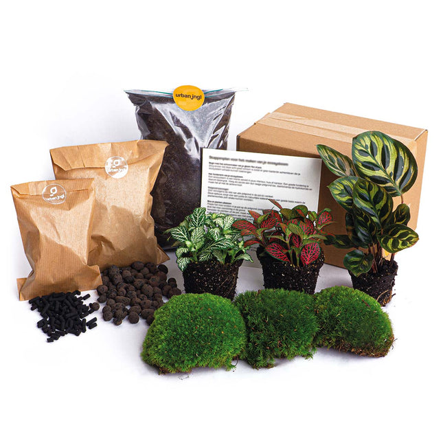 Terrarium DIY Kit - Teddy - Bottle Garden - ↑ 26,5 cm – urbanjngl