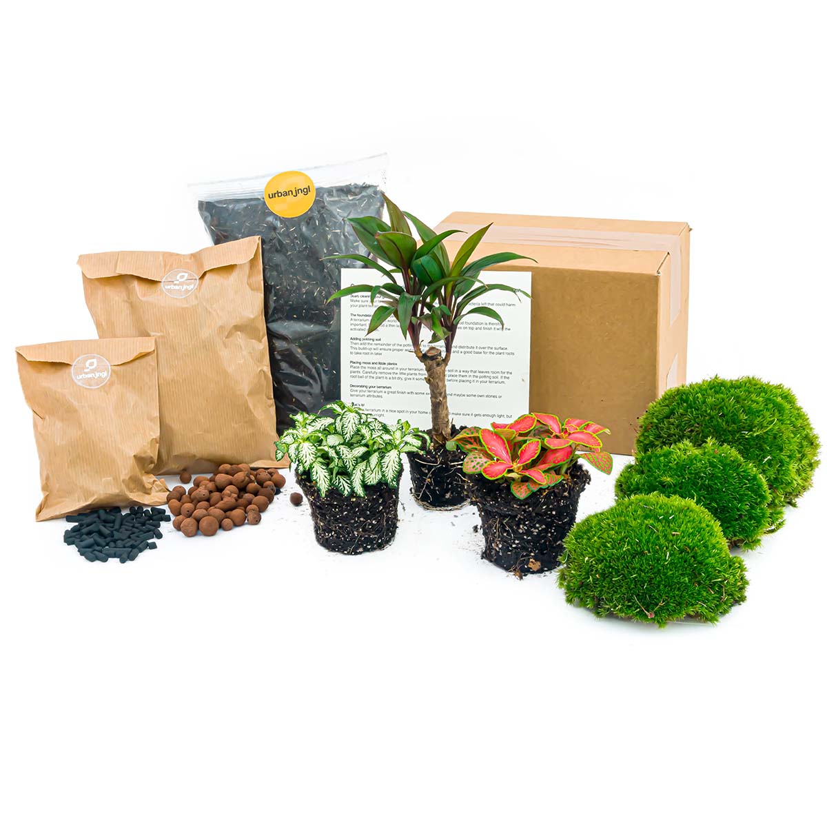 DIY terrarium navulset 2/3/4 planten - urbanjngl