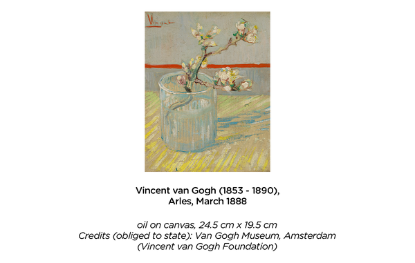 Sprig of Flowering Almond in a Glass