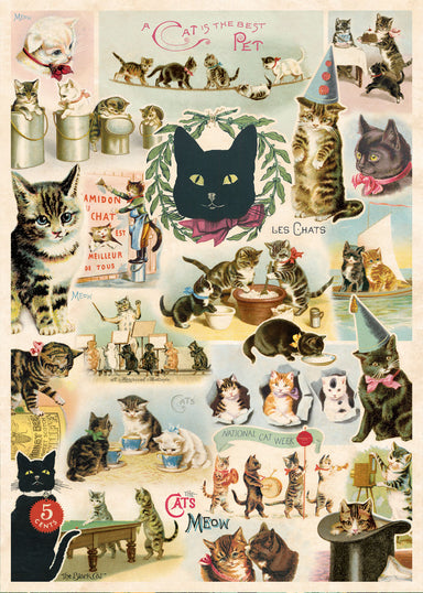Cavallini & Co. Vintage Cats Decorative Paper — Two Hands Paperie