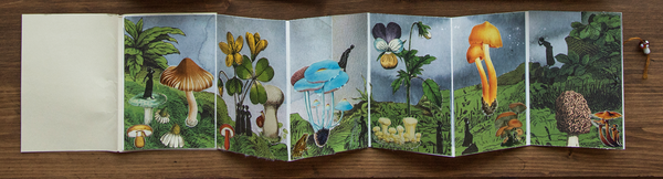 Accordion fold book with mushroom collage