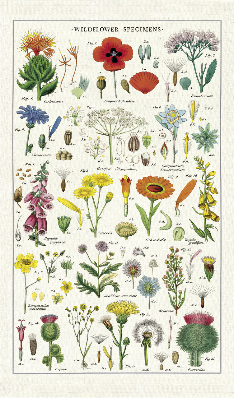 Cavallini & Co. Wildflowers 1000 Piece Puzzle — Two Hands Paperie