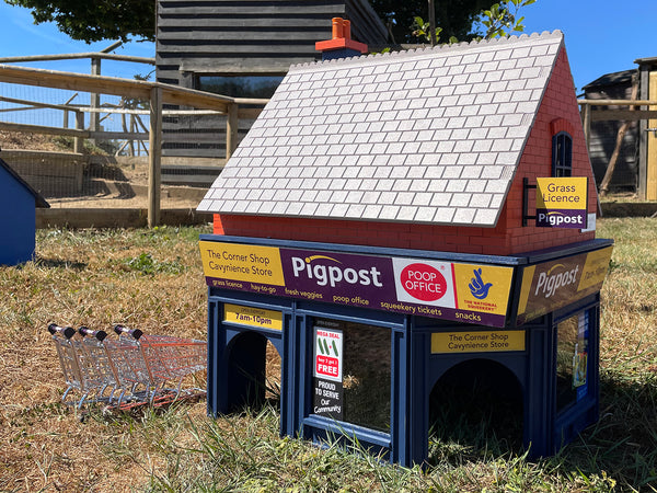 The Corner Shop Cavynience Store - Guinea Pig Village