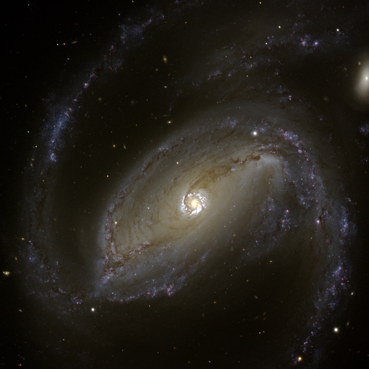 Paranal Unique Galaxy Photo – Sky Image Lab