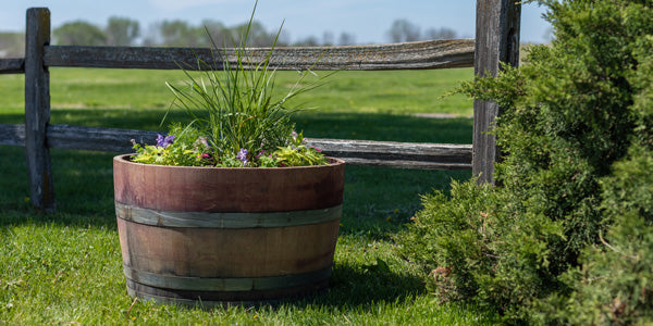 Wine barrel planter with flower and greenery arrangement next to fence and bushes