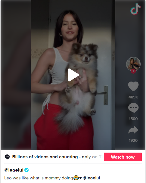 how to get a lot of followers on tiktok content