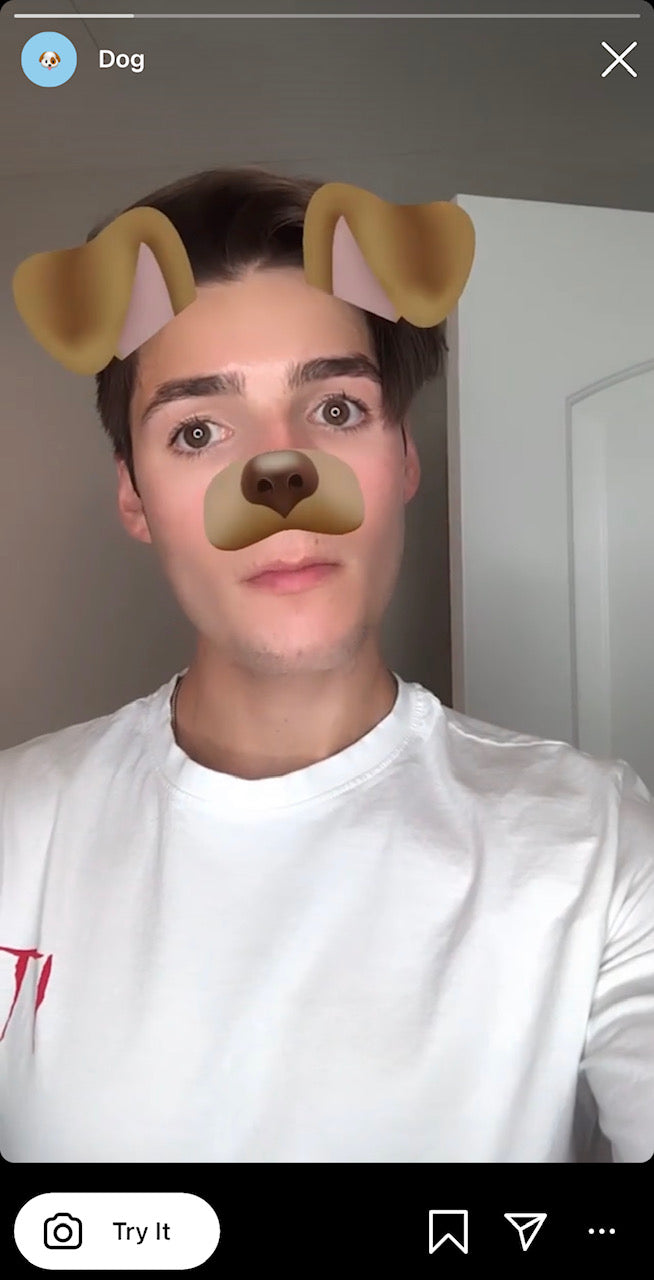 meilleur filtre Instagram puppy