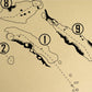 Diamante Cabo San Lucas Dunes Course Outline (Print)