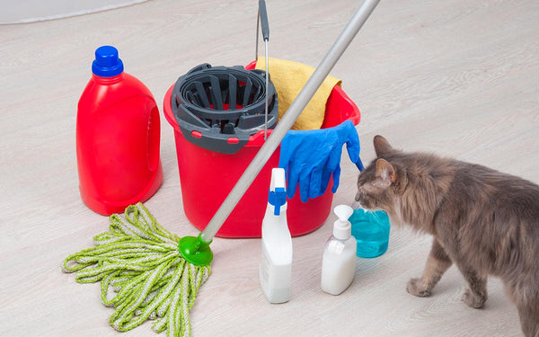 cleaning agents and cats