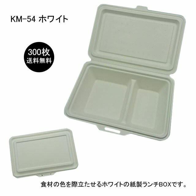 限定セール！】 ケーピープラテック 食品容器 KMフードパック 中 窓付