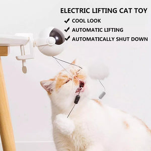 50% OFF Automatic Lifting Cat Ball Toy
