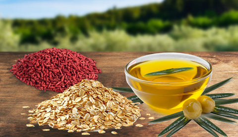 combination of oatmeal, red rice yeast extract and olive oil in reducing cholesterol