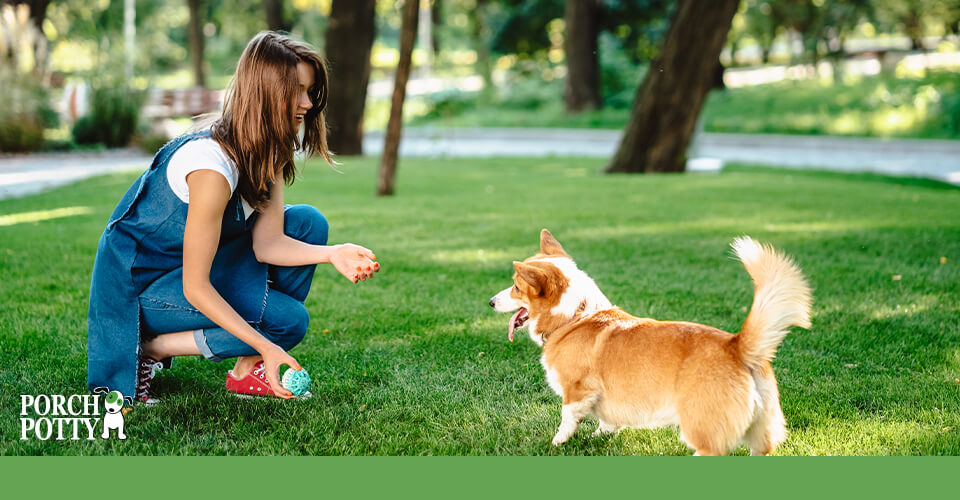 A young woman crouches down to play with her Corgi