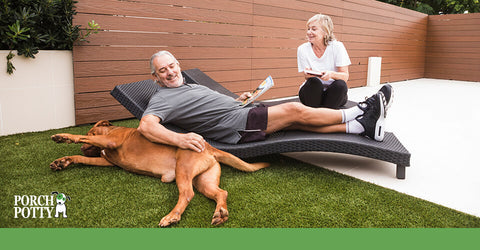 A copper-coloured dog lays down beside its owner, who is petting it.