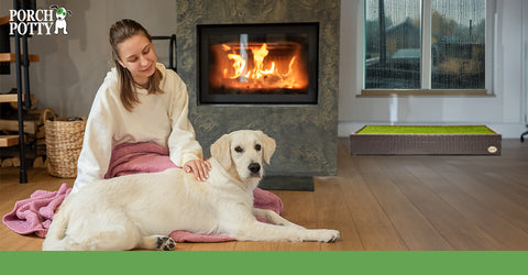 A large white dog lays in front of its owner while it rains outside