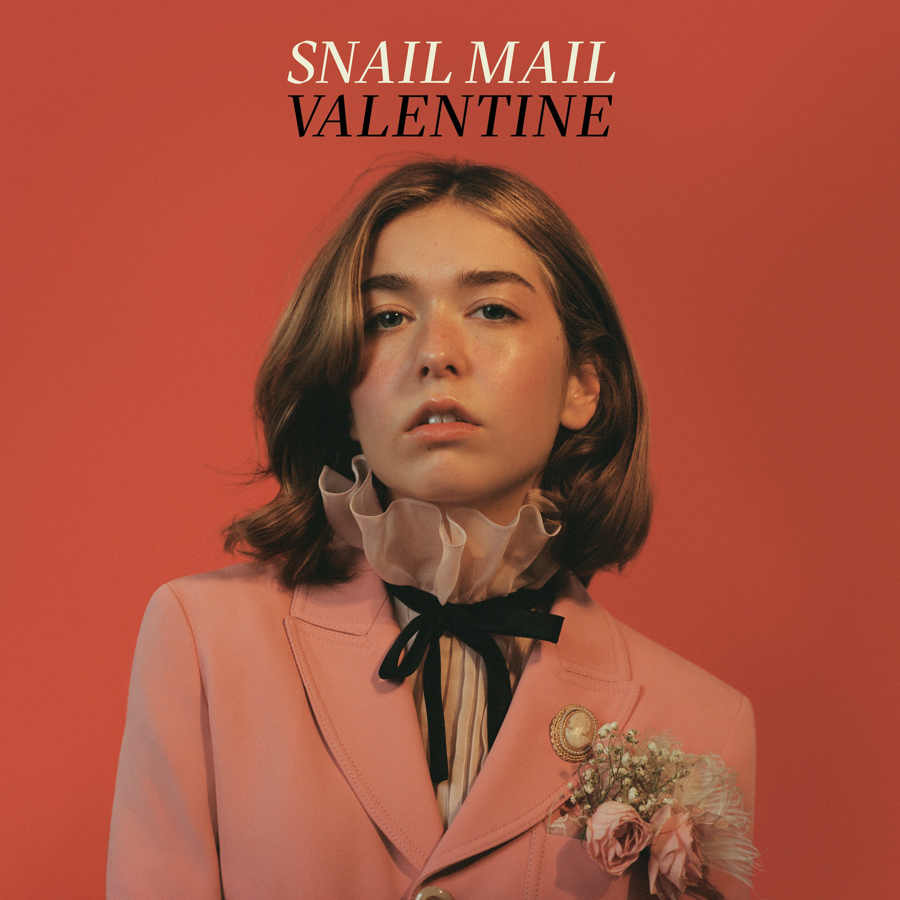 Dinked限定盤 Snail Mail Valentineレコード LP 2 jkr.johor.gov.my