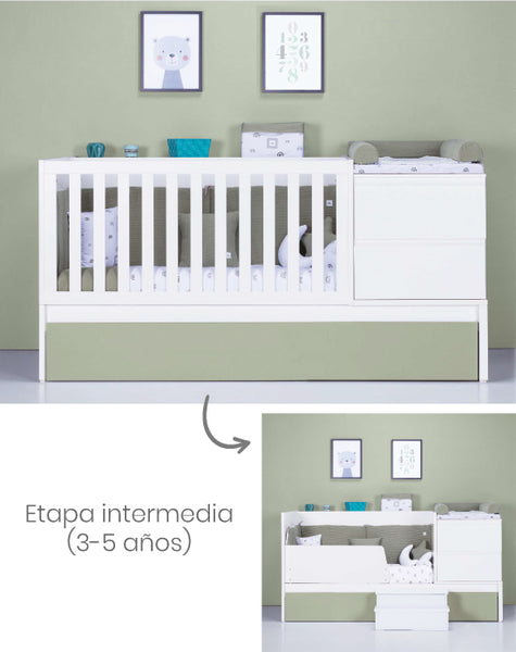 Intermediate stage convertible cot Inside