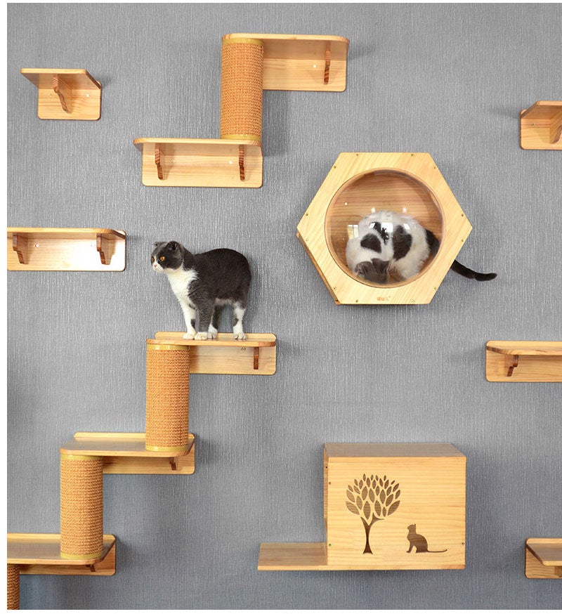 Different size and style of wooden cat shelves