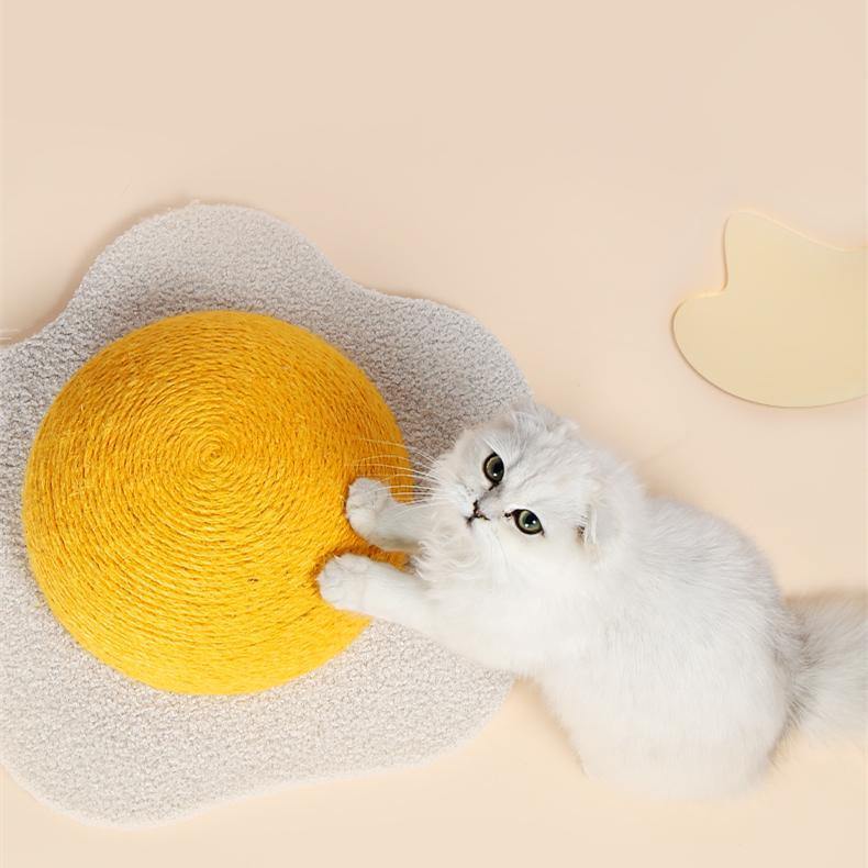 A white cat holding an egg shaped cat scratcher toy