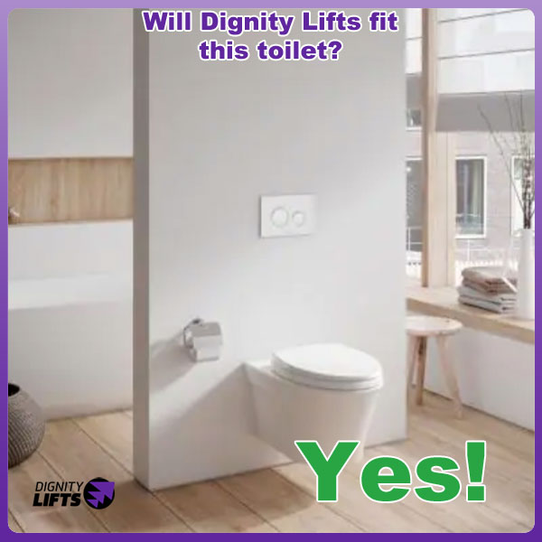 toilet lift for a wall mounted toilet