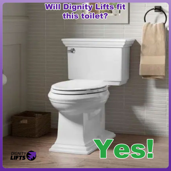 Affordable Lifting Toilet Seat - Dignity Lifts BL1 – DignityLifts