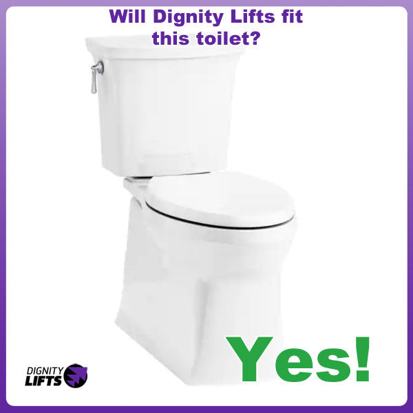 Toilet lift toilet fit