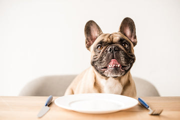 can dogs eat sweet potato chips