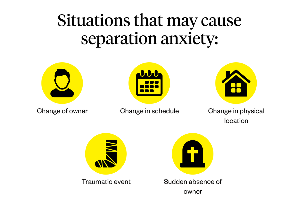 Graphic shows 5 situations that may cause separation anxiety 