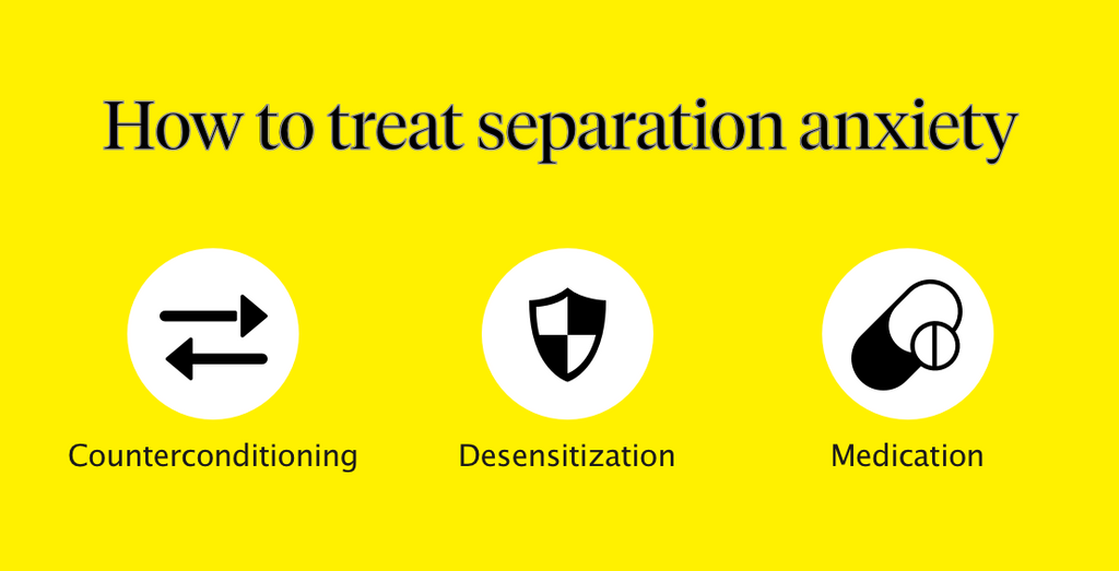 Graphic shows three ways to treat separation anxiety in dogs