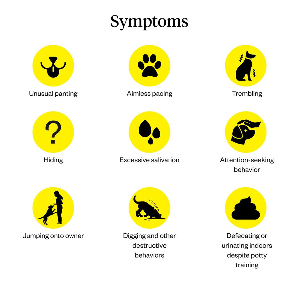 Panic attack symptoms in dogs