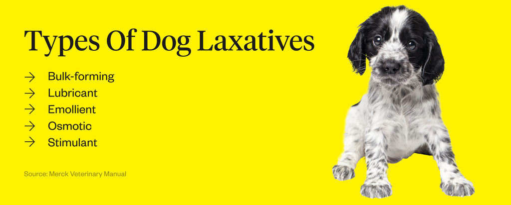 what kind of laxatives are safe for dogs