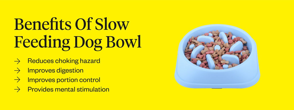 Pros and Cons Of Slow Feeder Dog Bowls - My Brown Newfies