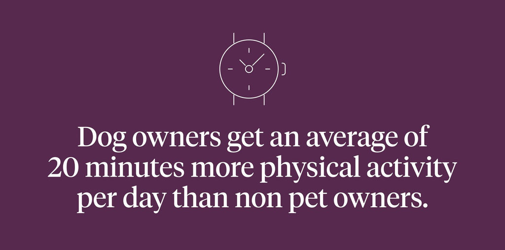 Dog owners get an average of 20 min more physical activity per day than non pet owners