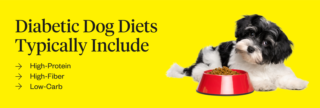 Dog Diabetes Diet: What To Feed A Diabetic Dog | Dutch