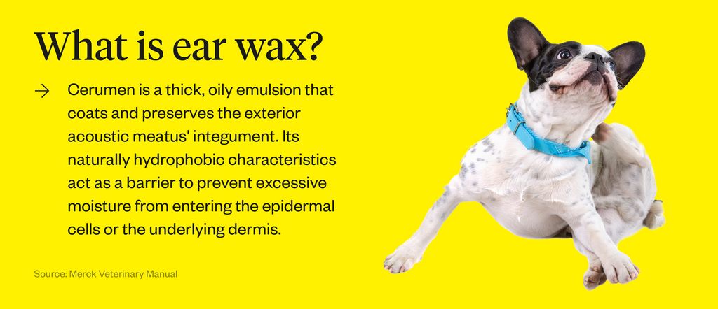 is it normal for dogs to have ear wax