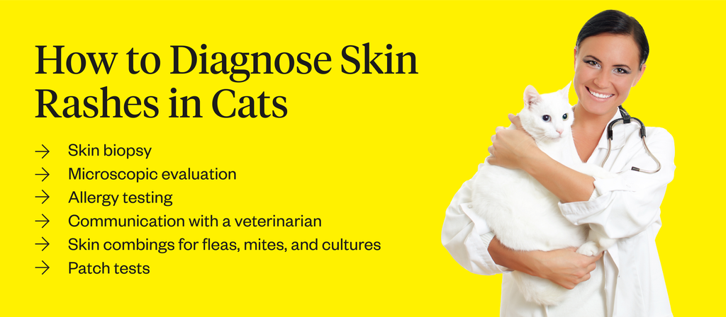 Skin rashes in cats can be diagnosed through skin biopsies, microscopic evaluations, allergy testing, patch tests, skin combings, and communication with a veterinarian.