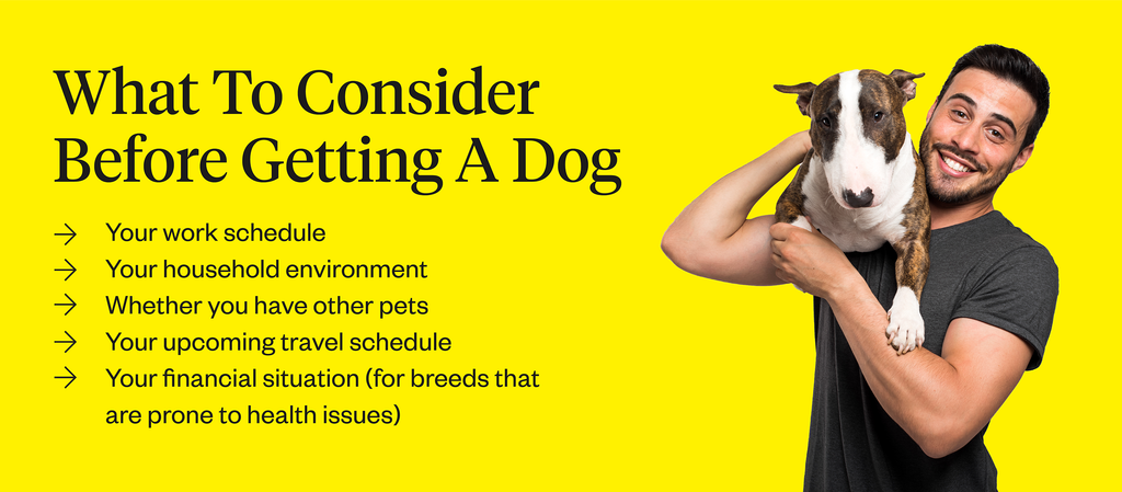 Things to consider before getting a dog