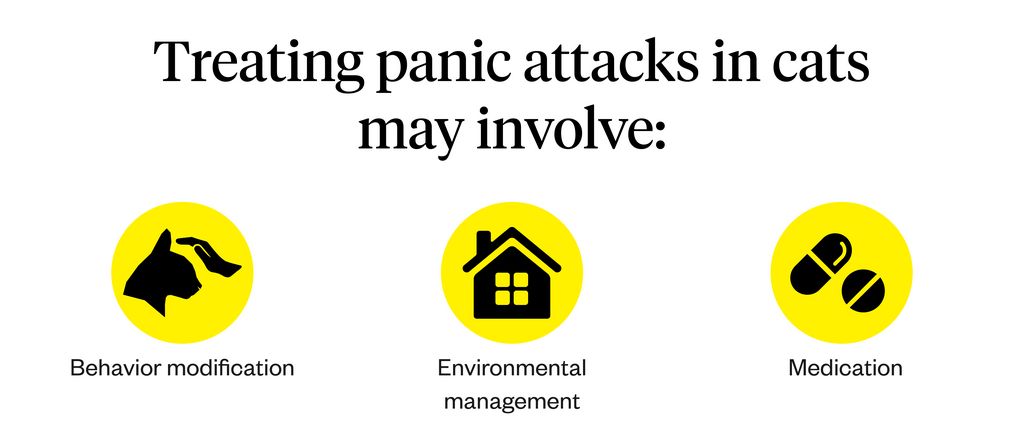 Graphic shows three methods of treating panic attacks