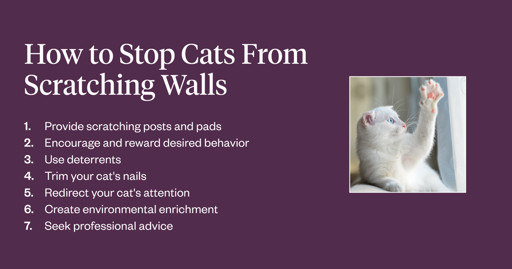 Seven steps to stop cats from scratching the walls