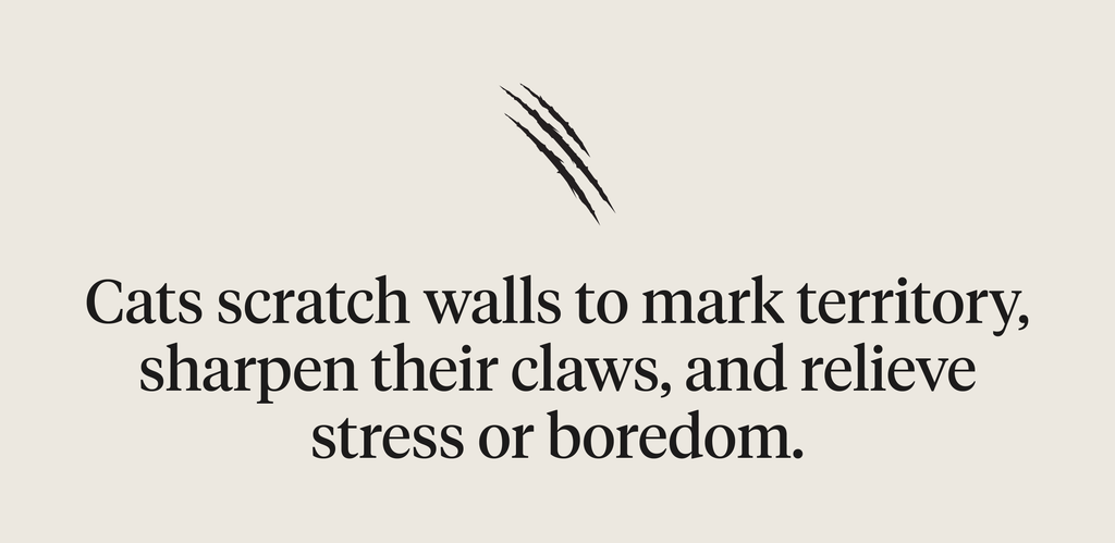 Cats scratch walls to mark territory, sharpen their claws, and relieve stress or boredom